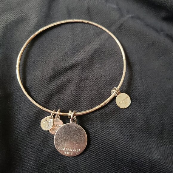 Alex and Ani All That Glitters Silver Charm Bracelet Adjustable Bangle   395 - Picture 3 of 4